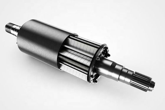 Ferrite Custom Permanent Magnetic Assembly Shaft Rotor For Drainage Pump Motor